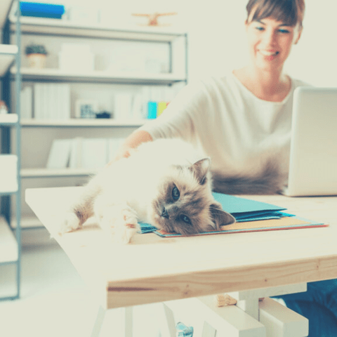 create a productive home office
